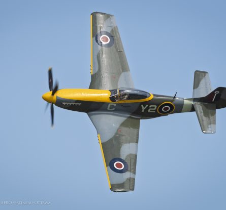 P-51D Mustang – Michael Potter Collection