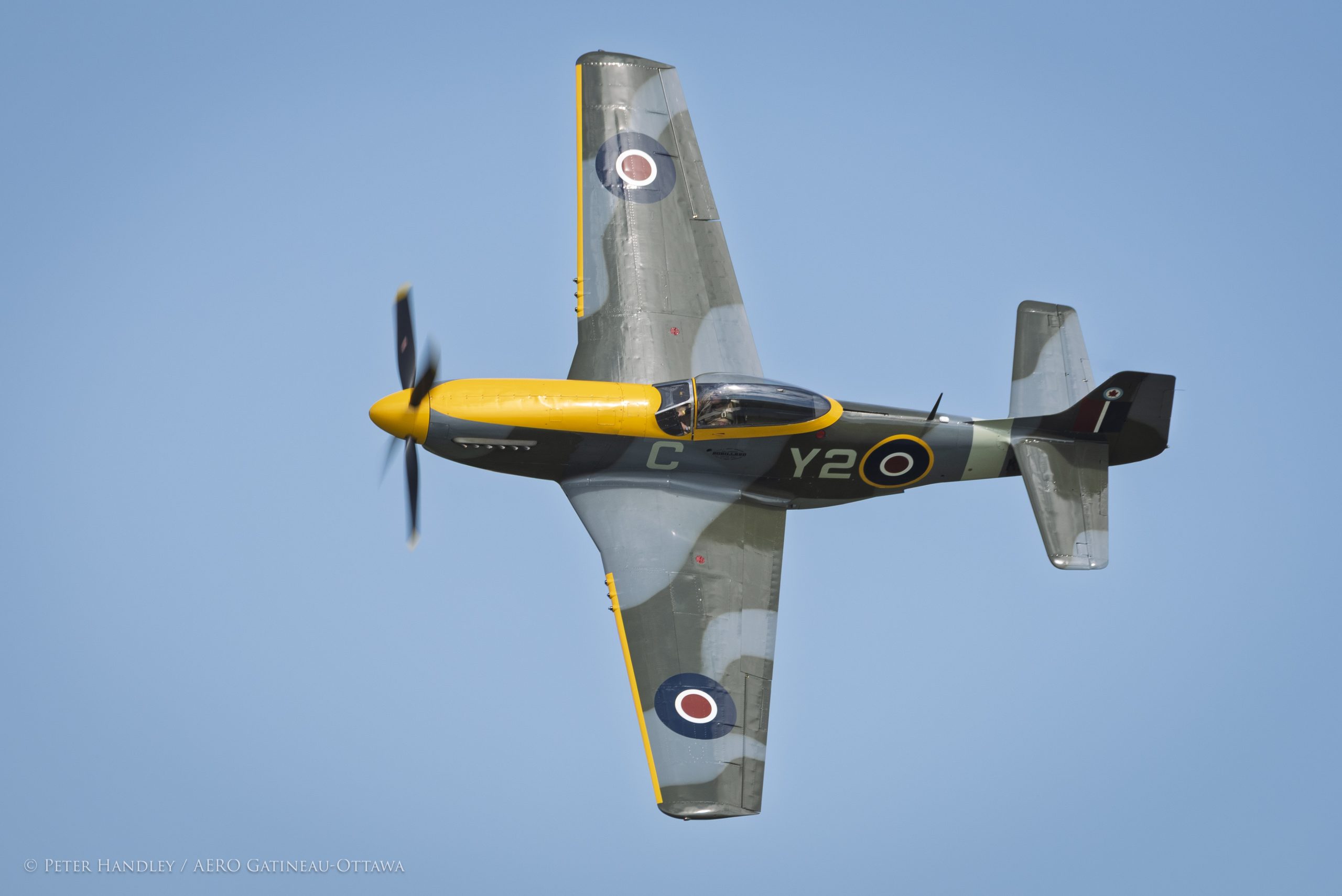 P-51D Mustang – Michael Potter Collection