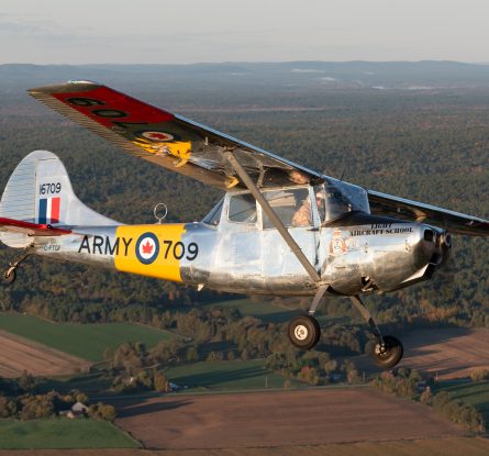 Cessna L-19A Bird Dog