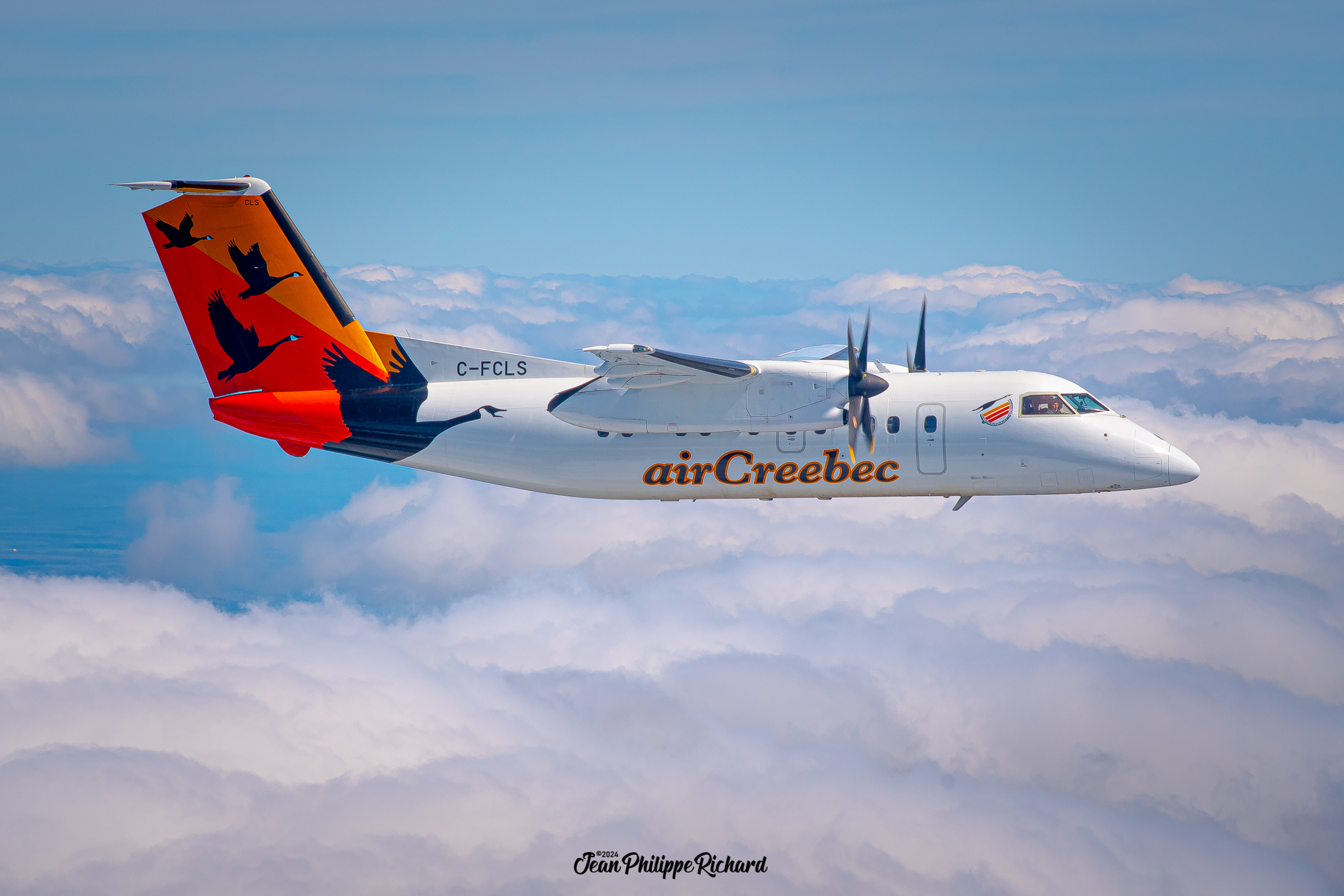 Dash 8-100