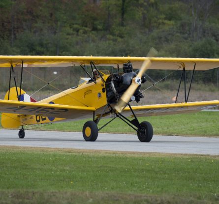 Fleet Finch