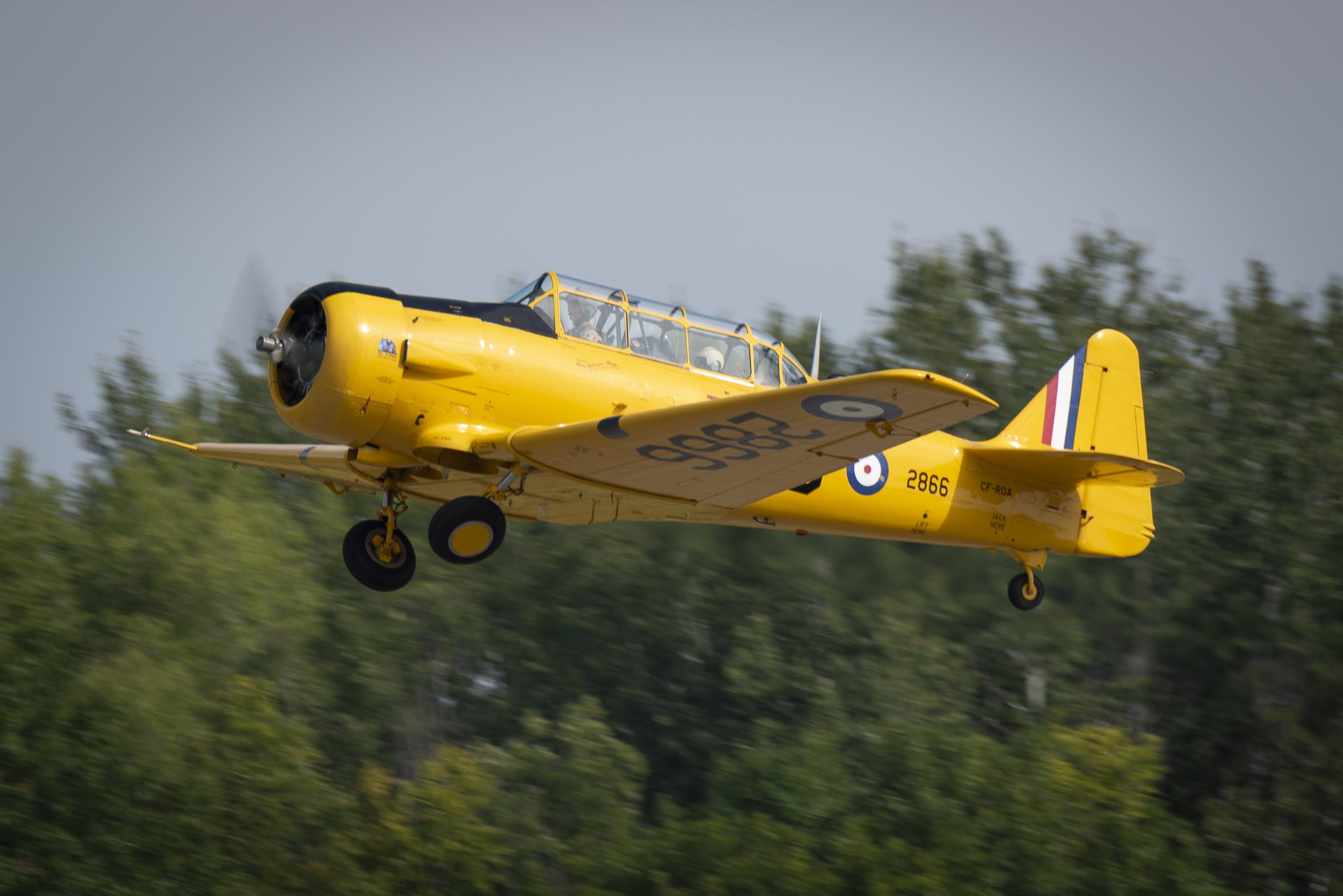 North American Harvard
