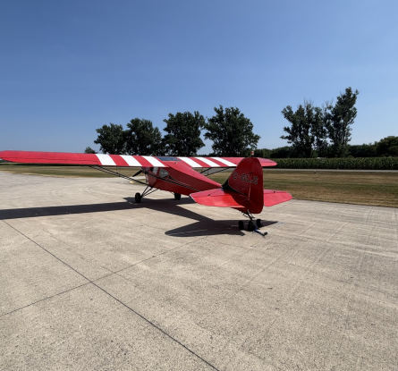 Taylorcraft F-19