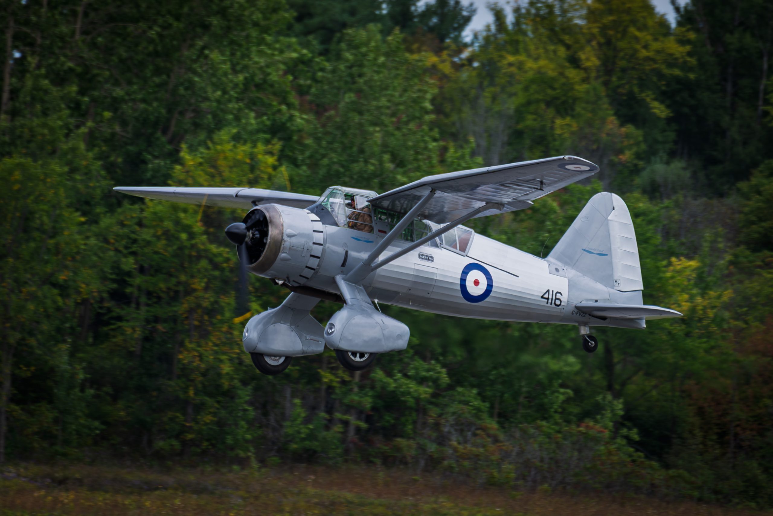 Westland Lysander III
